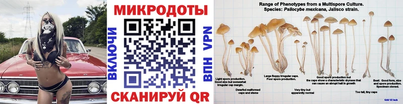 KRAKEN зеркало  Эртиль  Псилоцибиновые грибы Psilocybine cubensis  магазин   